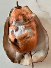 Sleeping mouse leaf for sale  SOUTHPORT
