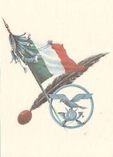 A5007 alpini cartolina usato  Lugo