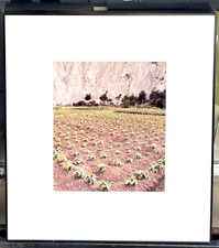 Alta tingle framed for sale  San Francisco