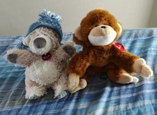 Trudi orsetto cappello usato  Staranzano