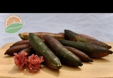 Australian hybrid finger for sale  Dallas