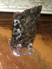 Sericho pallasite meteorite for sale  Malone