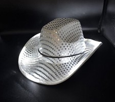 Led light cowboy for sale  Sanford