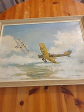 Pair tiger moths for sale  DEREHAM