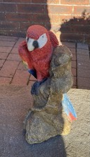 macaw for sale macaw for sale  LIVINGSTON