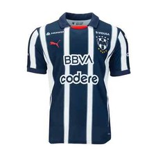 Puma monterrey home for sale  Cicero