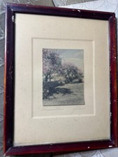 Antique gibson blossoming for sale  Langhorne