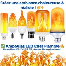 Ampoule led flamme d'occasion  Les Andelys