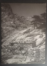 Photo corse années d'occasion  La Crau