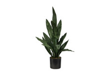 Plantas de interior e exterior quase naturais comprar usado Plantas de interior e exterior quase naturais comprar usado  Enviando para Brazil