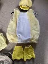 Nativity duck costume for sale  GREAT YARMOUTH