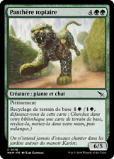 Panthère topiaire vert d'occasion  Tarascon
