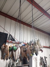 Zink decoys ghg for sale  Johnsonville