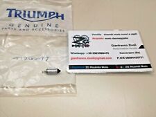 T1241077 originale triumph usato  Conversano