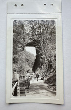 Photo 1937 natural for sale  Palm Bay