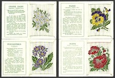 Kensitas flowers 1st for sale  YEOVIL
