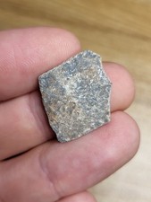 Genuine raptor eggshell for sale  SOLIHULL