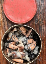 Various britains charbens for sale Various britains charbens for sale  CAMBORNE