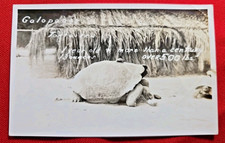 Rppc galapagos islands for sale  Omaha