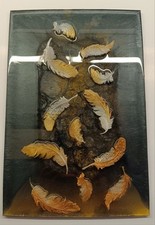 Fallende federn neu gebraucht kaufen  Offenbach am Main