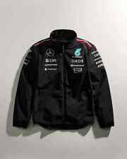 Mercedes amg petronas d'occasion  Sarcelles