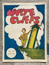 Original white cliffs for sale  FOLKESTONE