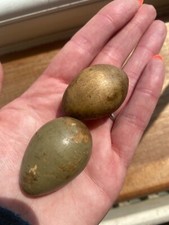 Two scarce antique for sale  HUNTINGDON
