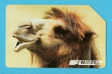 Scheda telefonica animali usato  Milano