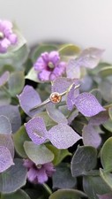 Bague fine blanc d'occasion  Les Mureaux
