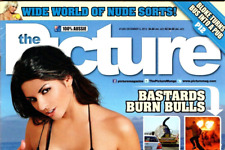 Picture magazine 1265 for sale  DARTFORD