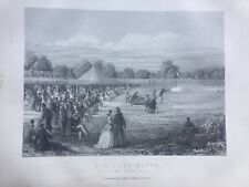 Antique print pigeon for sale  TORRINGTON