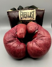 Vintage boxing gloves for sale  Farmersburg