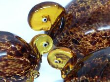 1970 tortues ambre d'occasion  Bordeaux-
