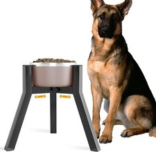 Medium size dog d'occasion  Expédié en Belgium