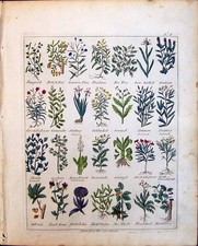 Vecchia stampa gen usato Vecchia stampa gen usato  Spedire a Italy