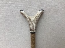 Red deer antler for sale  SALTBURN-BY-THE-SEA