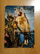 Carte postale oiseaux d'occasion  Angoulême