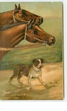 Embossed card bulldog d'occasion  Expédié en Belgium