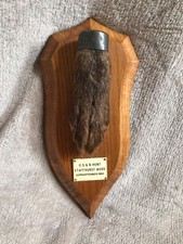 Taxidermy pad hunting for sale  CHELTENHAM