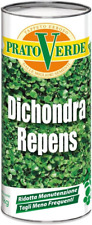Prato verde dichondra usato  Modugno