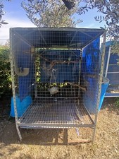 Gabbia pappagalli voliera usato Gabbia pappagalli voliera usato  Comiso
