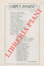 Sud africa fraccaroli usato  Italia