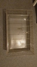 Big grey rat for sale  GLASGOW