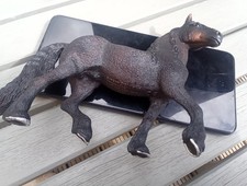 black stallion for sale black stallion for sale NEWBURY