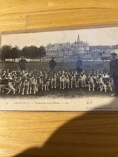 Chasse courre cartes d'occasion  Conflans-Sainte-Honorine