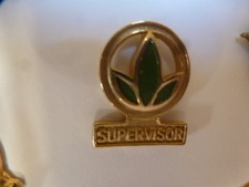 Pin pin herbalife d'occasion  Oisemont