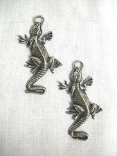 Florida iguana lizard for sale  Kodak