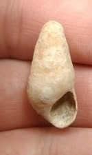 Unha peruana 24,3 mm 9 USD frete internacional, usado comprar usado  Enviando para Brazil