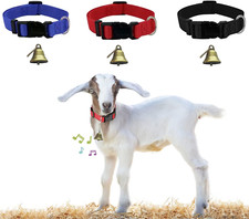 Pack goat collar for sale  Denver