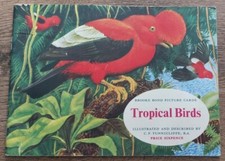 Tropical birds brooke for sale  BELPER